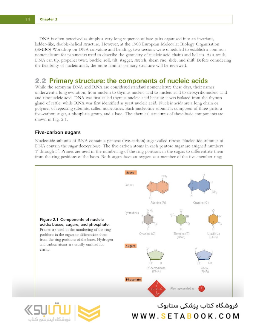 Fundamental Molecular Biology, 1st Edition2007