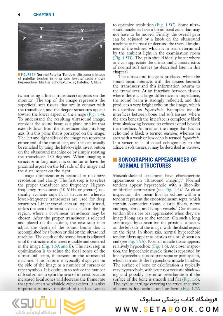Fundamentals of Musculoskeletal Ultrasound 3rd Edition 2017