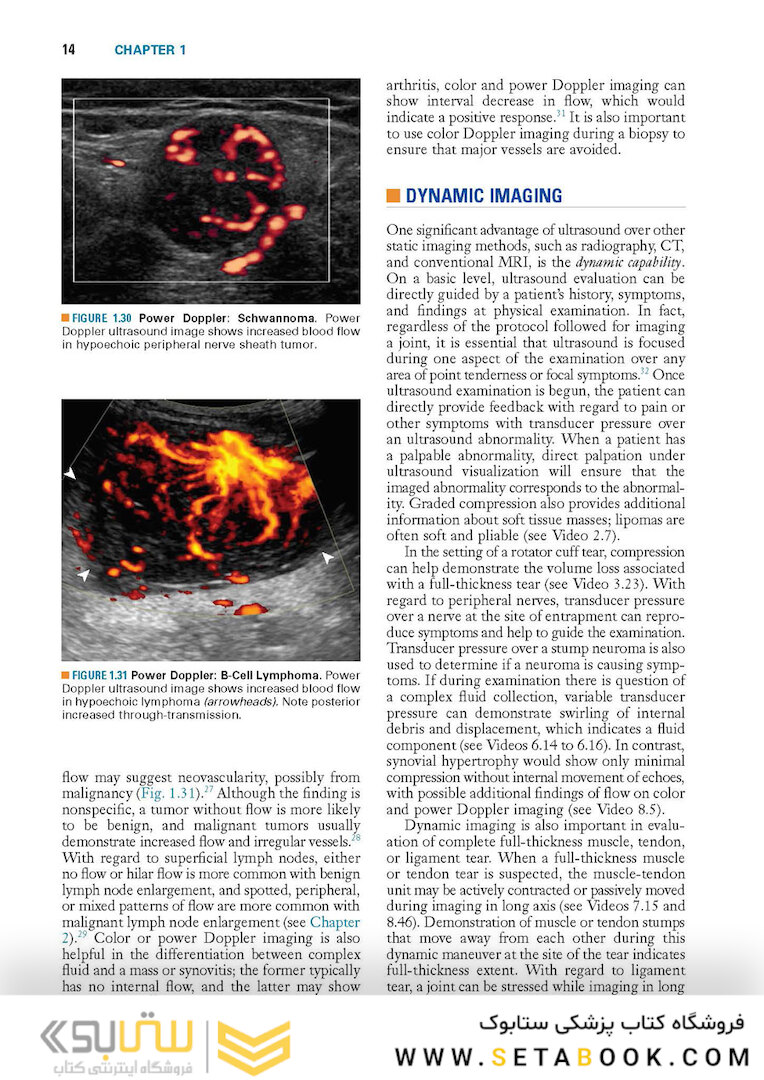 Fundamentals of Musculoskeletal Ultrasound 3rd Edition 2017