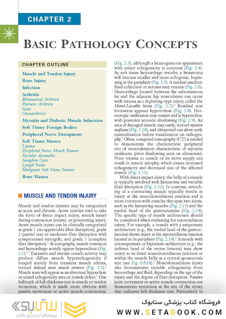 Fundamentals of Musculoskeletal Ultrasound 3rd Edition 2017