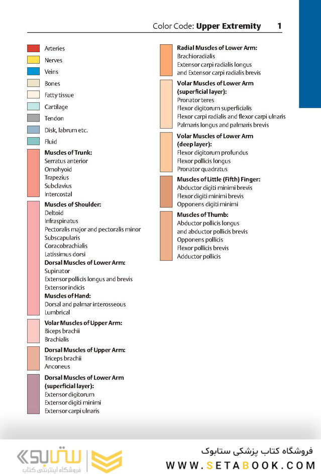 Pocket Atlas of Sectional Anatomy, Volume III, 2nd Edition 2017