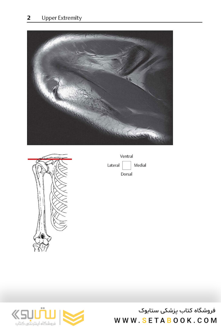 Pocket Atlas of Sectional Anatomy, Volume III, 2nd Edition 2017