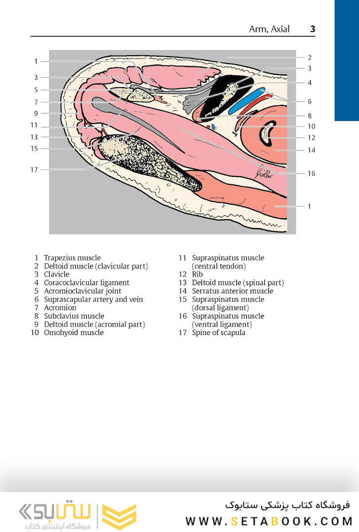Pocket Atlas of Sectional Anatomy, Volume III, 2nd Edition 2017