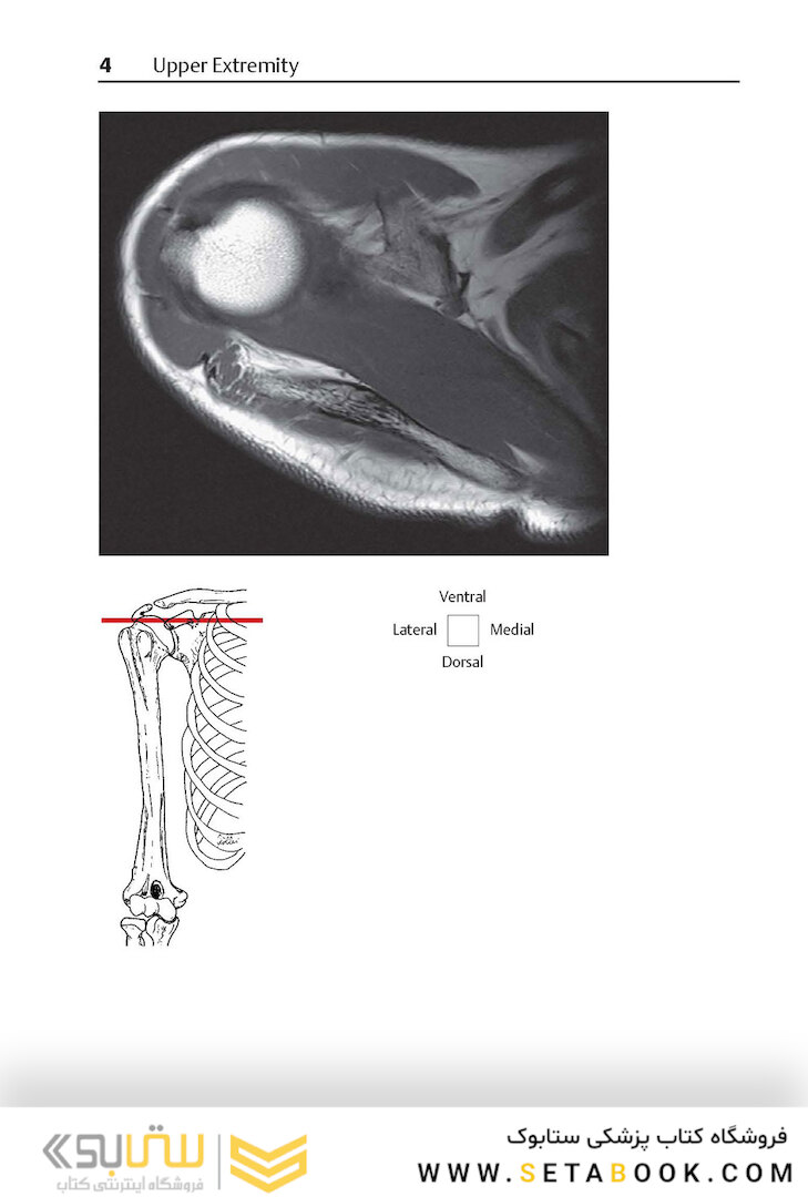 Pocket Atlas of Sectional Anatomy, Volume III, 2nd Edition 2017