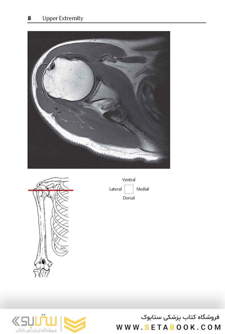 Pocket Atlas of Sectional Anatomy, Volume III, 2nd Edition 2017