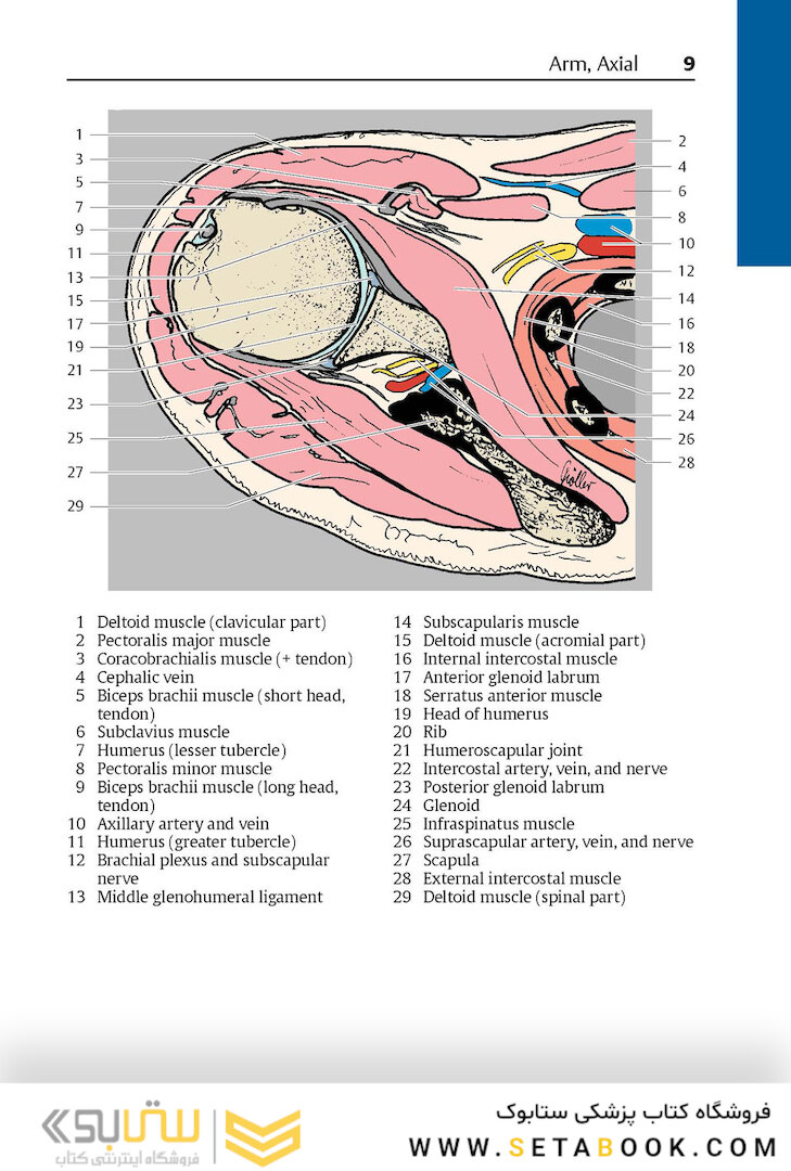 Pocket Atlas of Sectional Anatomy, Volume III, 2nd Edition 2017