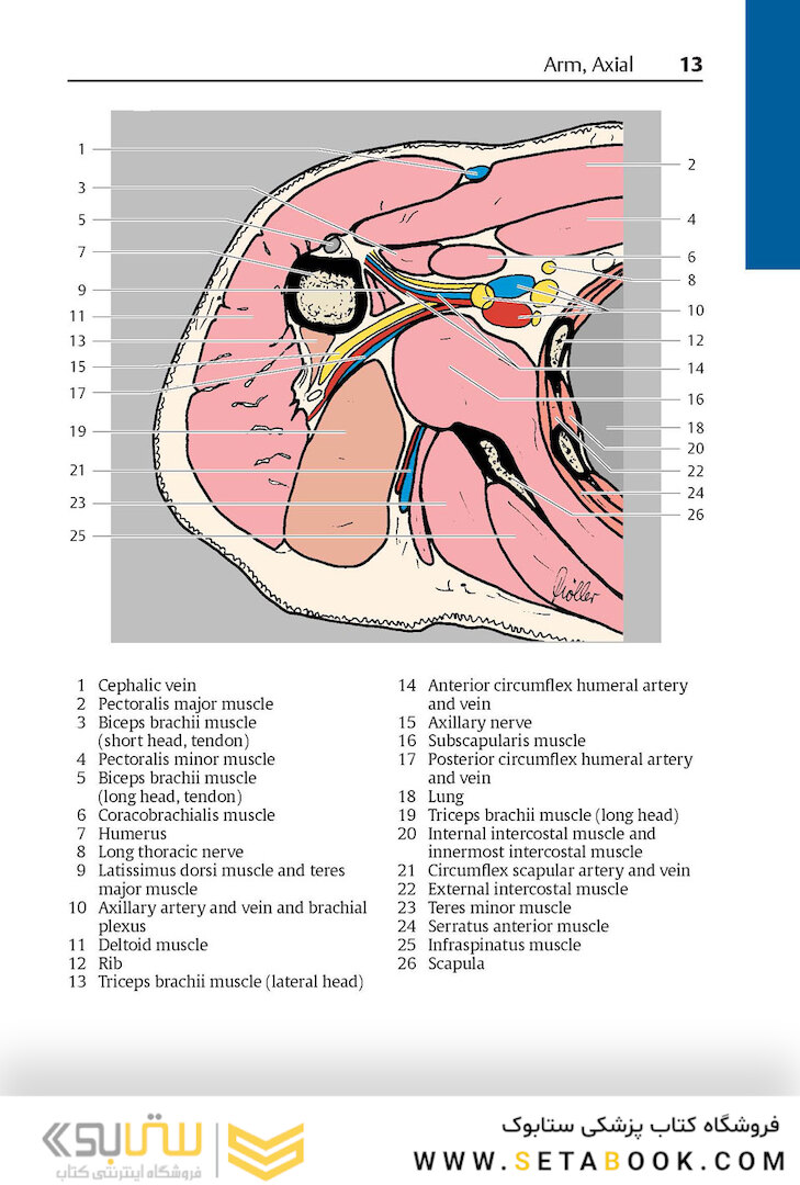 Pocket Atlas of Sectional Anatomy, Volume III, 2nd Edition 2017