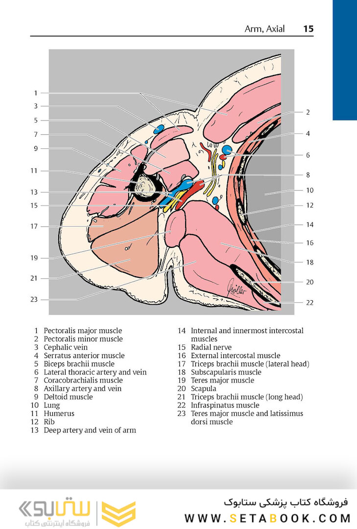 Pocket Atlas of Sectional Anatomy, Volume III, 2nd Edition 2017