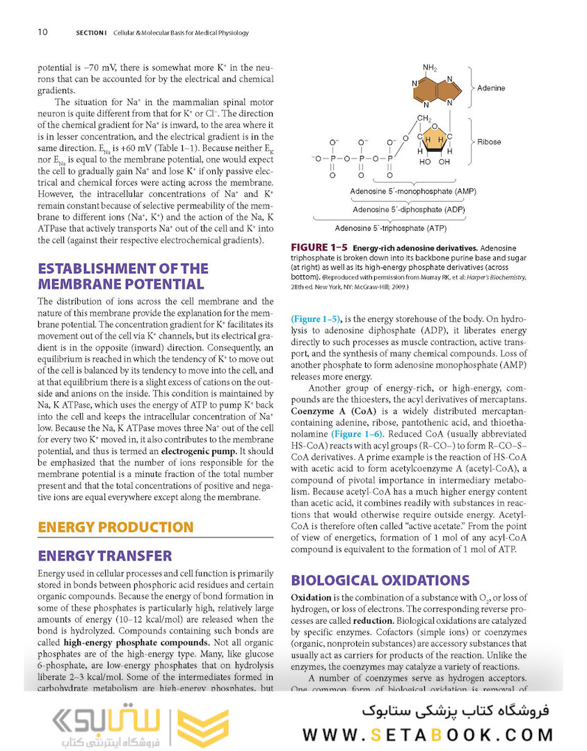 Ganong’s Review of Medical Physiology, Twenty, 26th Edition 2019