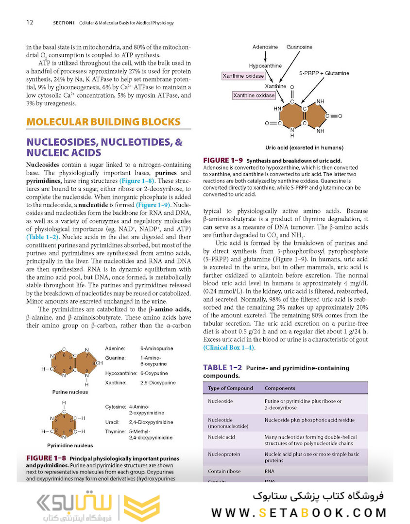 Ganong’s Review of Medical Physiology, Twenty, 26th Edition 2019