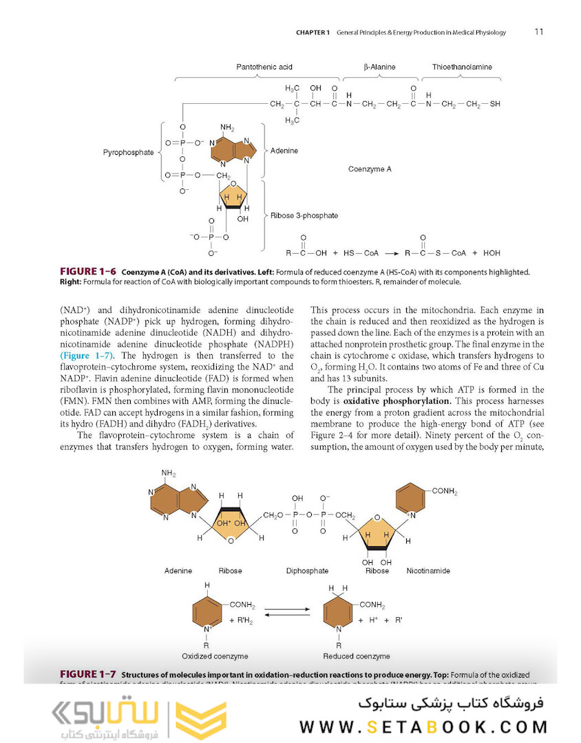 Ganong’s Review of Medical Physiology, Twenty, 26th Edition 2019