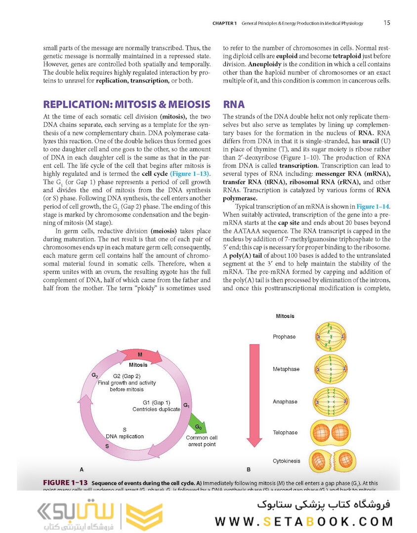 Ganong’s Review of Medical Physiology, Twenty, 26th Edition 2019