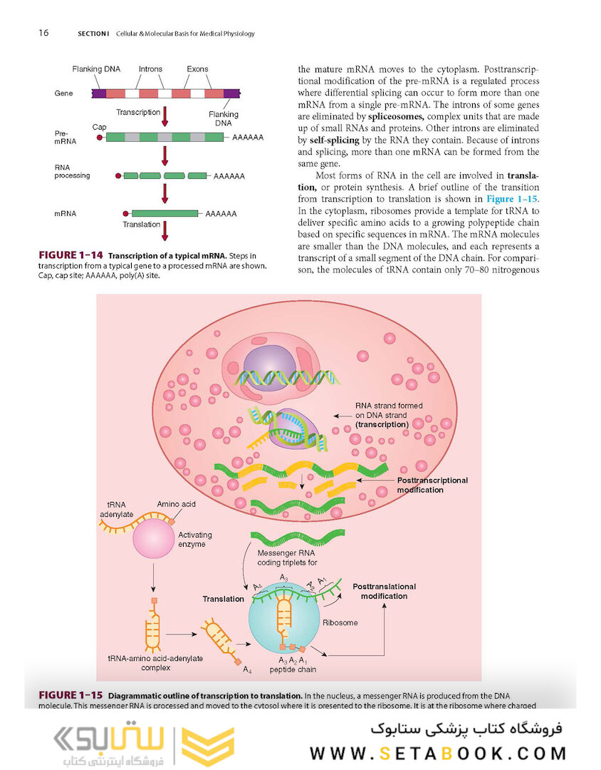 Ganong’s Review of Medical Physiology, Twenty, 26th Edition 2019