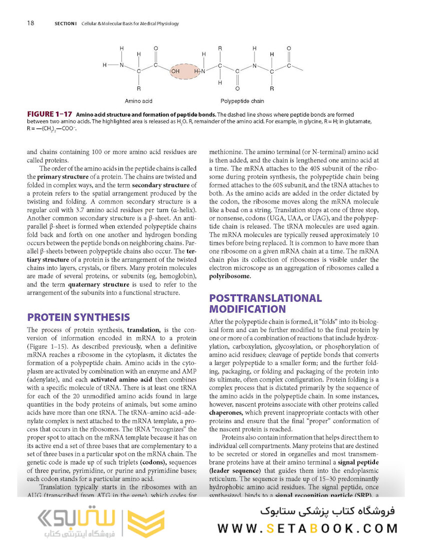 Ganong’s Review of Medical Physiology, Twenty, 26th Edition 2019