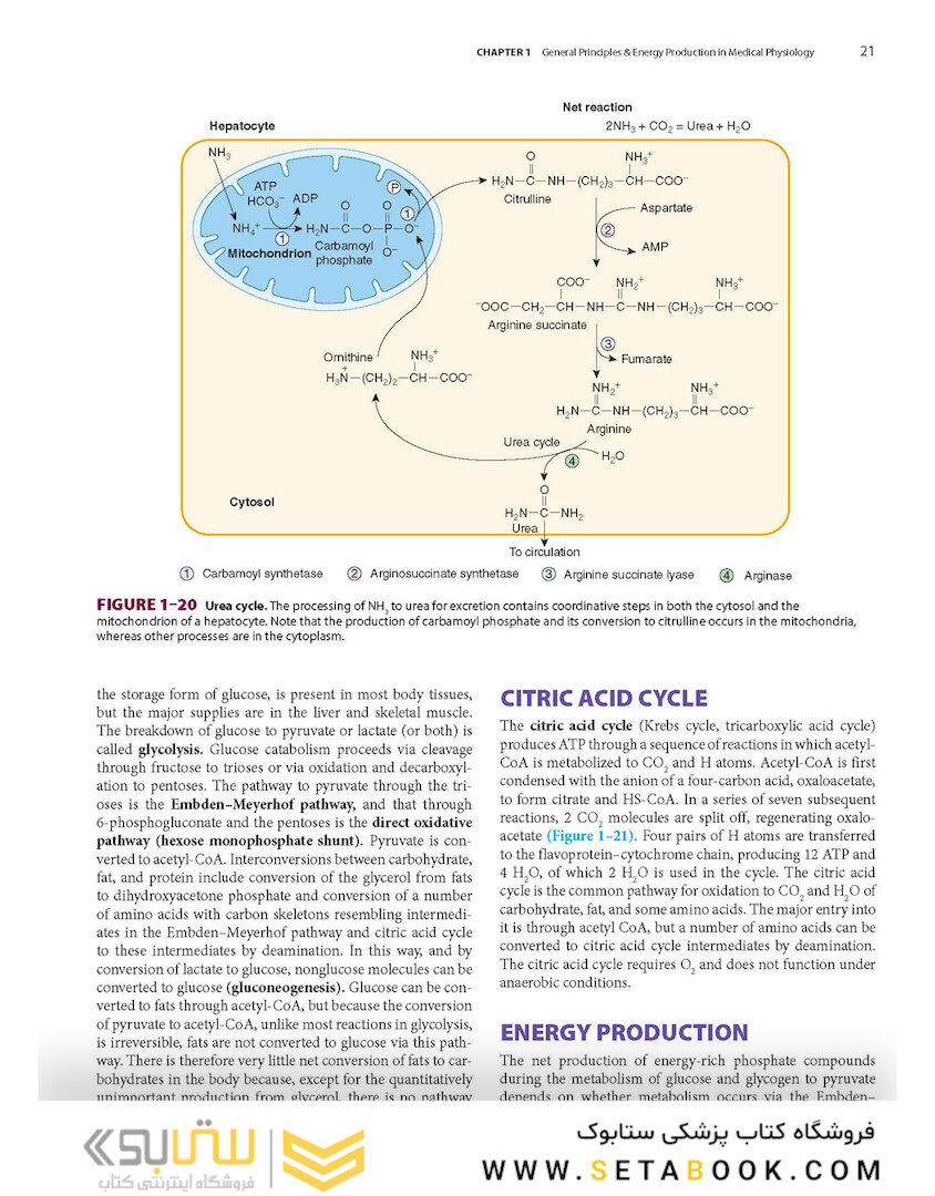 Ganong’s Review of Medical Physiology, Twenty, 26th Edition 2019