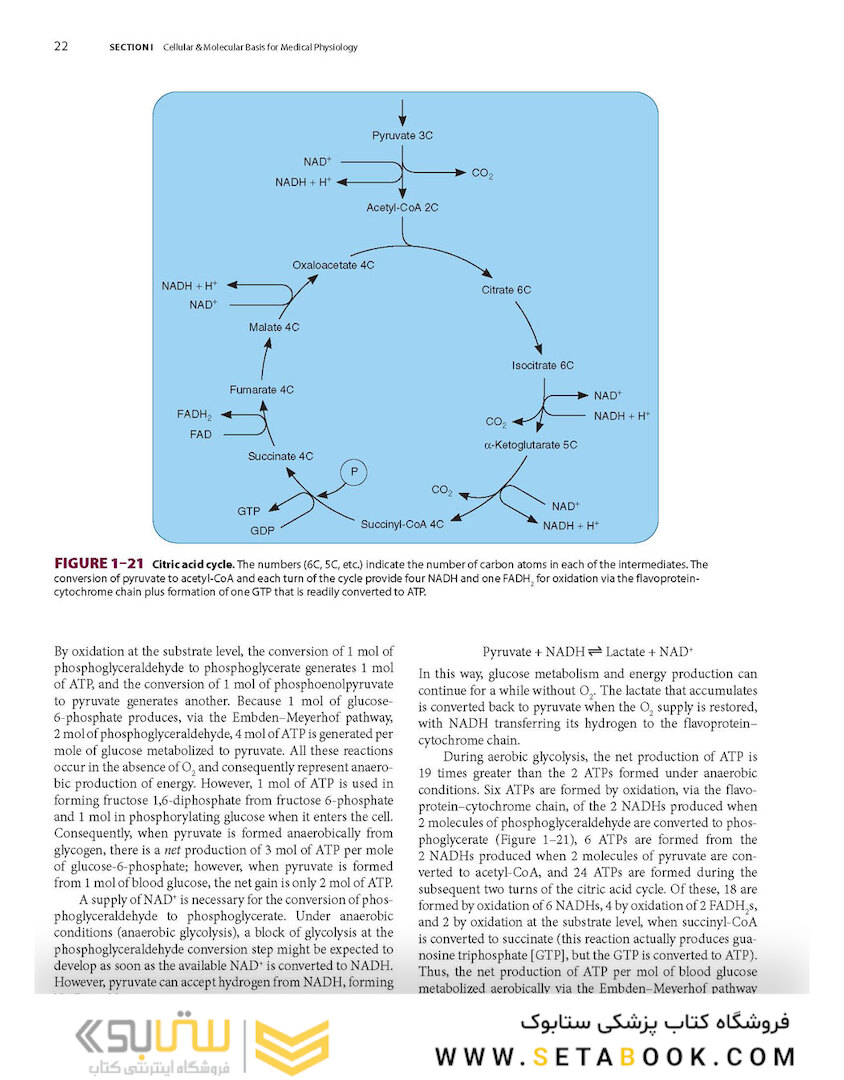 Ganong’s Review of Medical Physiology, Twenty, 26th Edition 2019