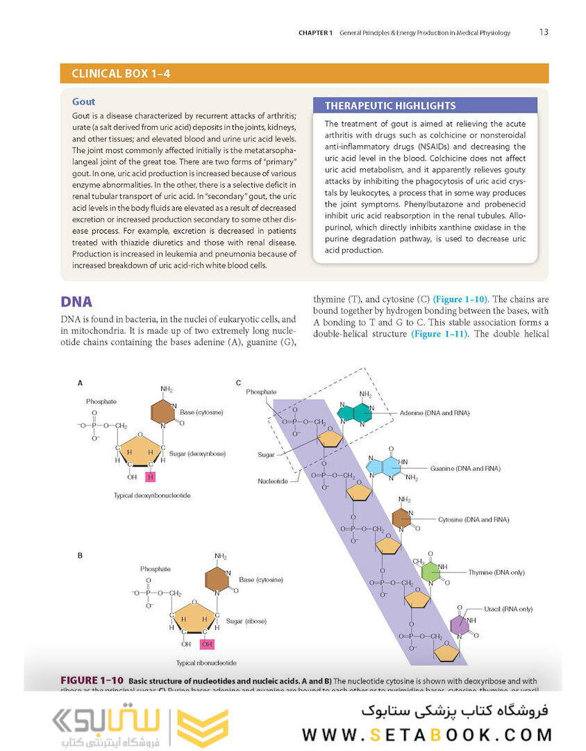 Ganong’s Review of Medical Physiology, Twenty, 26th Edition 2019