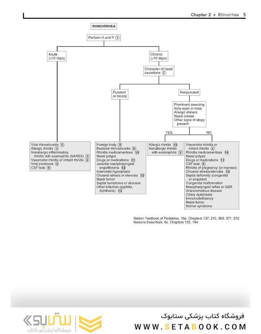 Pediatric Decision-Making Strategies, 2nd Edition