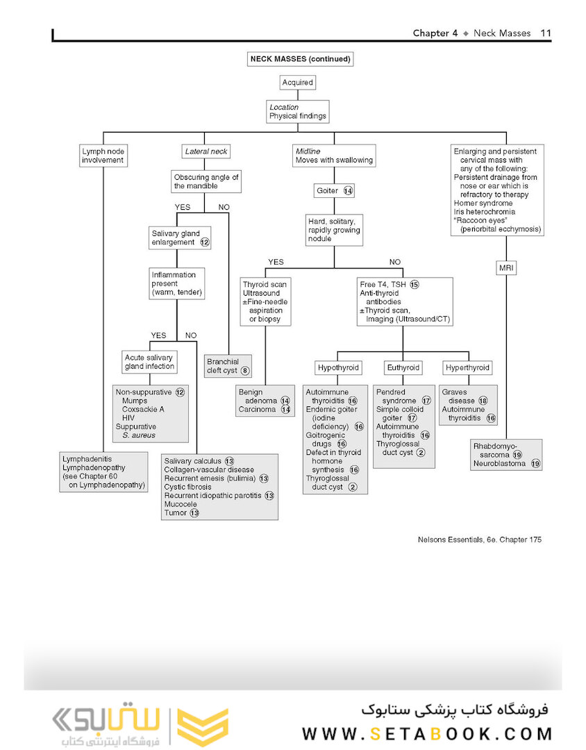 Pediatric Decision-Making Strategies, 2nd Edition