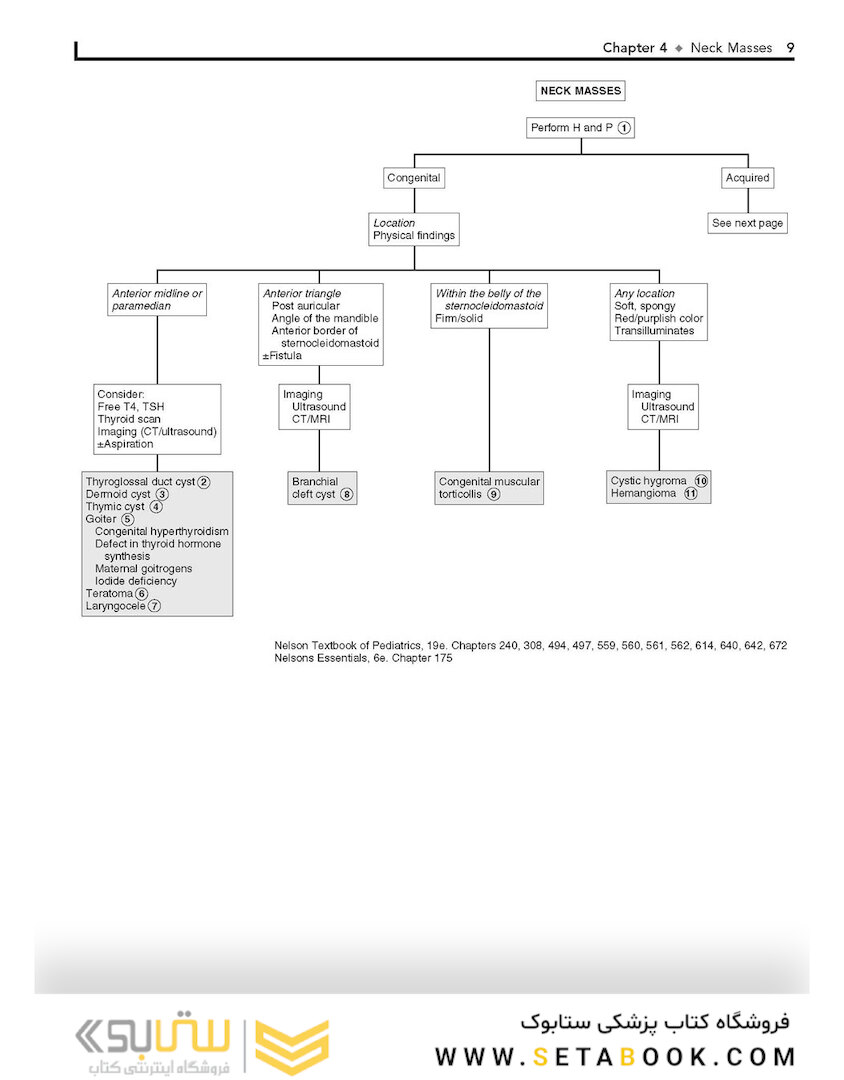 Pediatric Decision-Making Strategies, 2nd Edition