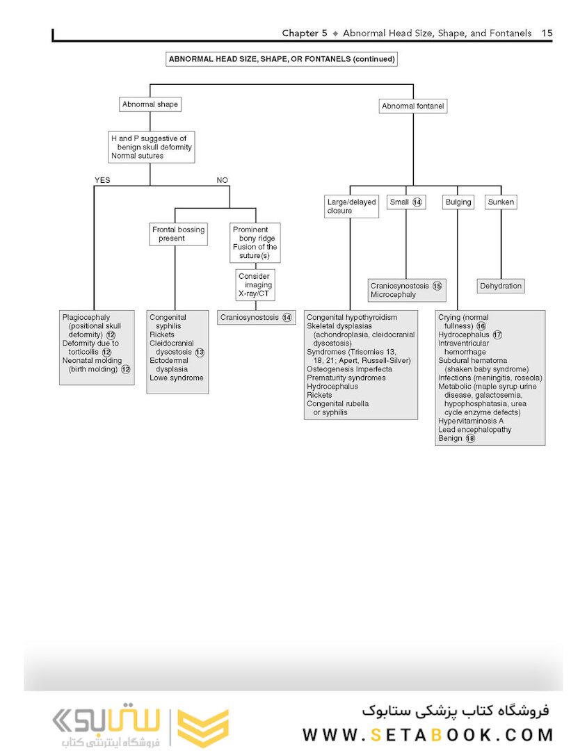 Pediatric Decision-Making Strategies, 2nd Edition