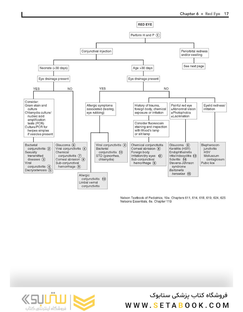 Pediatric Decision-Making Strategies, 2nd Edition