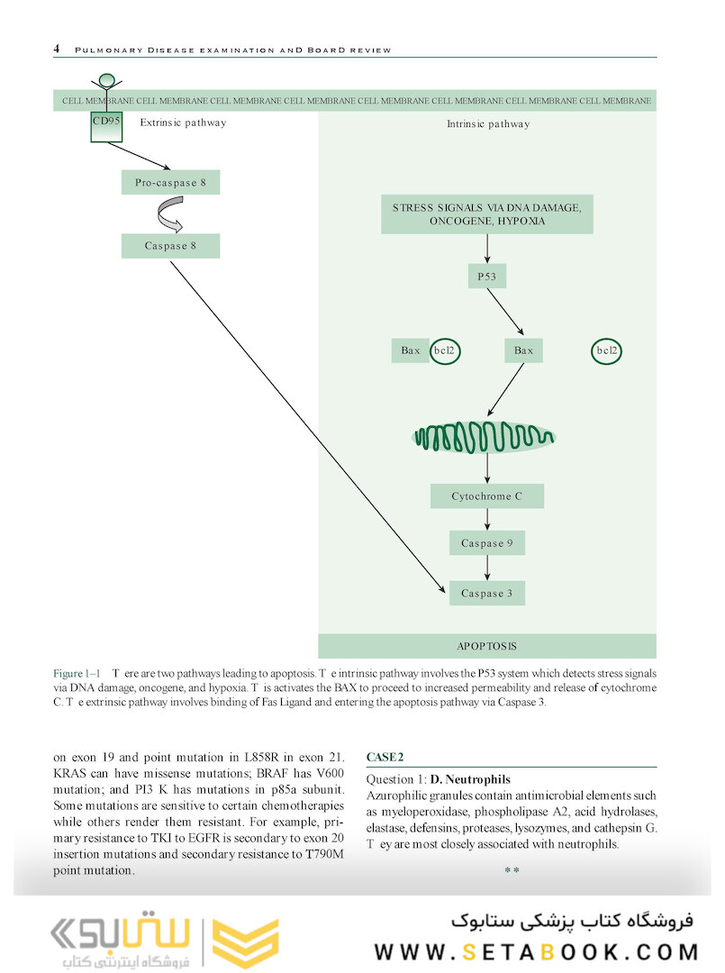 Pulmonary Disease Examination and Board Review 1st Edition2016