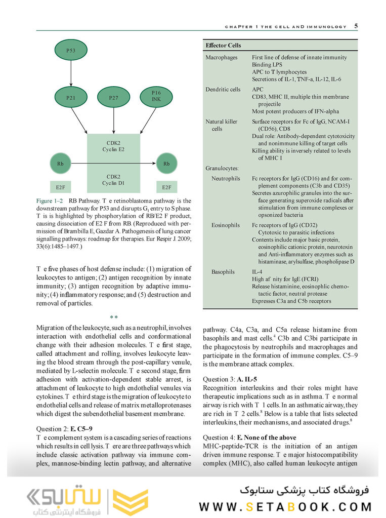 Pulmonary Disease Examination and Board Review 1st Edition2016