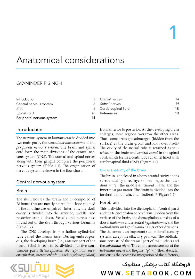 Manual of Neuroanesthesia: The Essentials 1st Edition2017