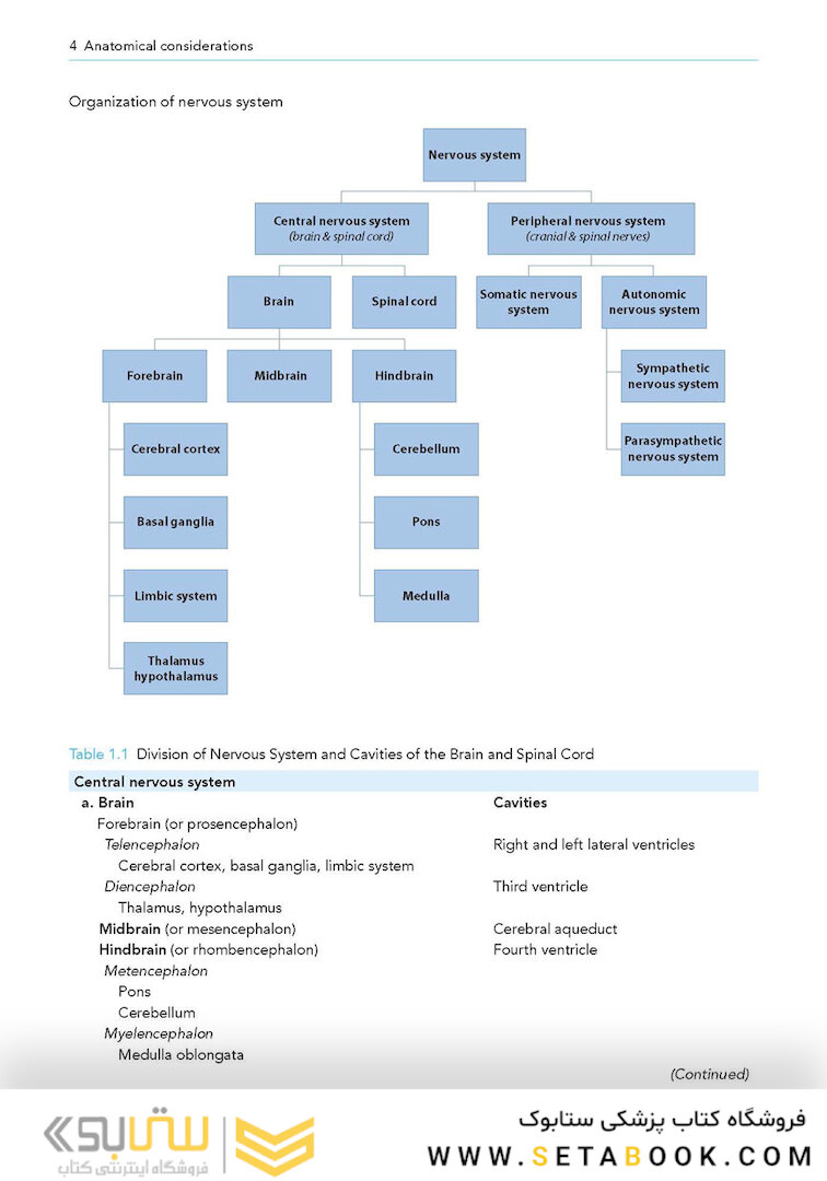 Manual of Neuroanesthesia: The Essentials 1st Edition2017