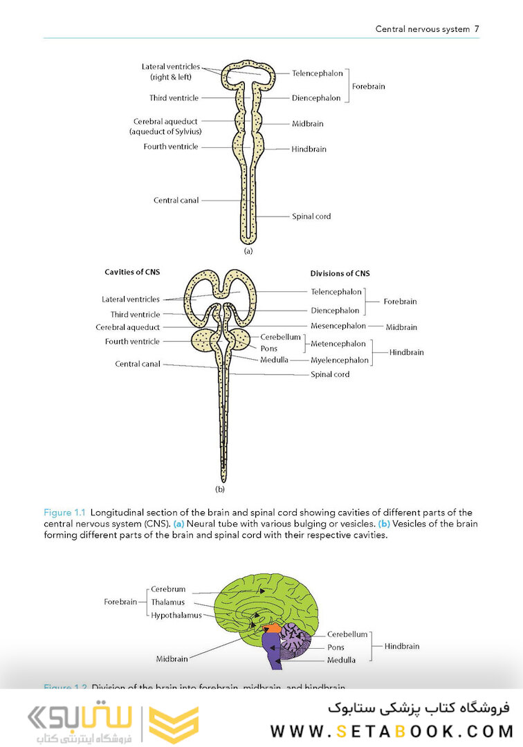 Manual of Neuroanesthesia: The Essentials 1st Edition2017