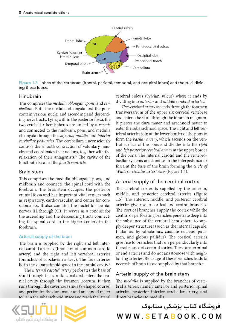 Manual of Neuroanesthesia: The Essentials 1st Edition2017