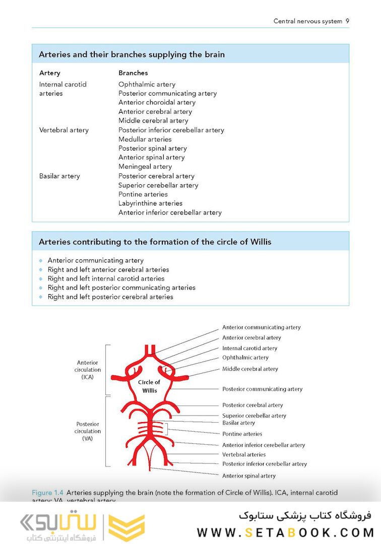 Manual of Neuroanesthesia: The Essentials 1st Edition2017