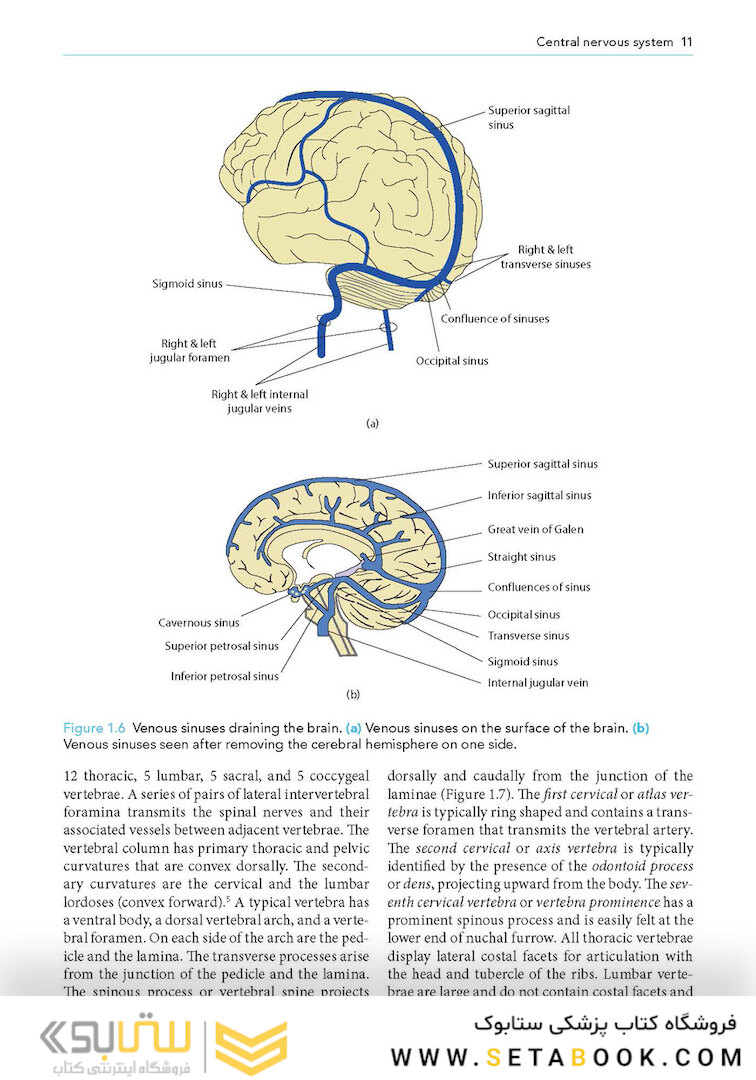 Manual of Neuroanesthesia: The Essentials 1st Edition2017