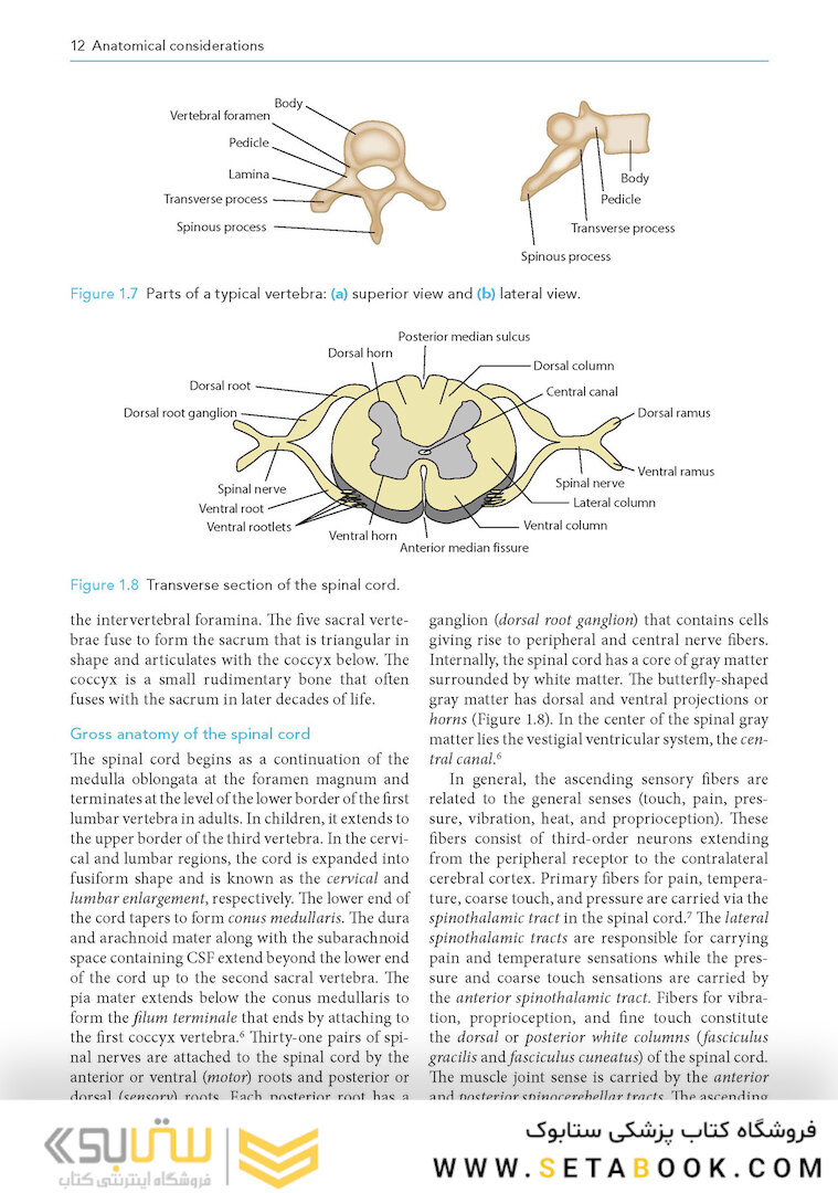 Manual of Neuroanesthesia: The Essentials 1st Edition2017
