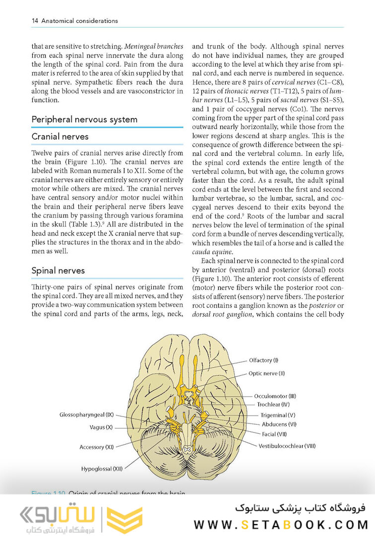 Manual of Neuroanesthesia: The Essentials 1st Edition2017