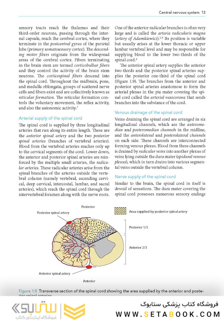 Manual of Neuroanesthesia: The Essentials 1st Edition2017