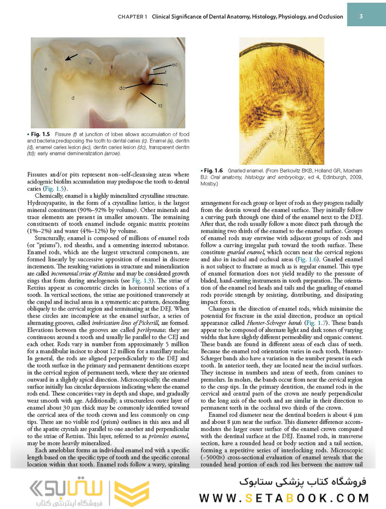 Sturdevant’s Art and Science of Operative Dentistry, 7th Edition2018
