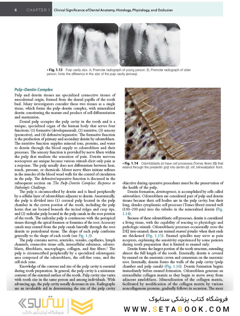 Sturdevant’s Art and Science of Operative Dentistry, 7th Edition2018