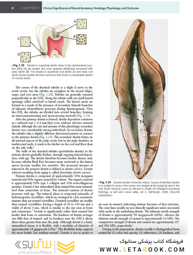 Sturdevant’s Art and Science of Operative Dentistry, 7th Edition2018