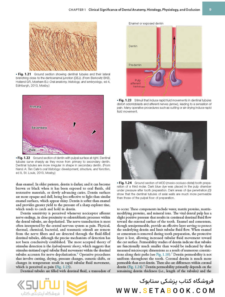 Sturdevant’s Art and Science of Operative Dentistry, 7th Edition2018