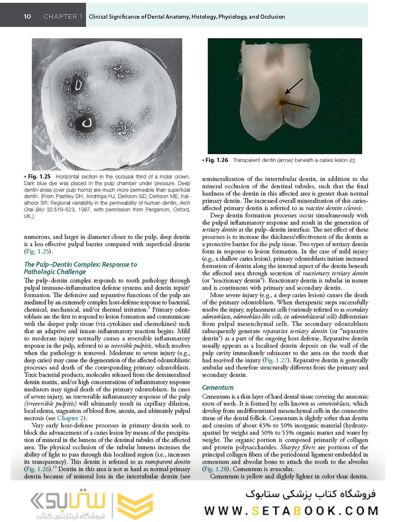 Sturdevant’s Art and Science of Operative Dentistry, 7th Edition2018