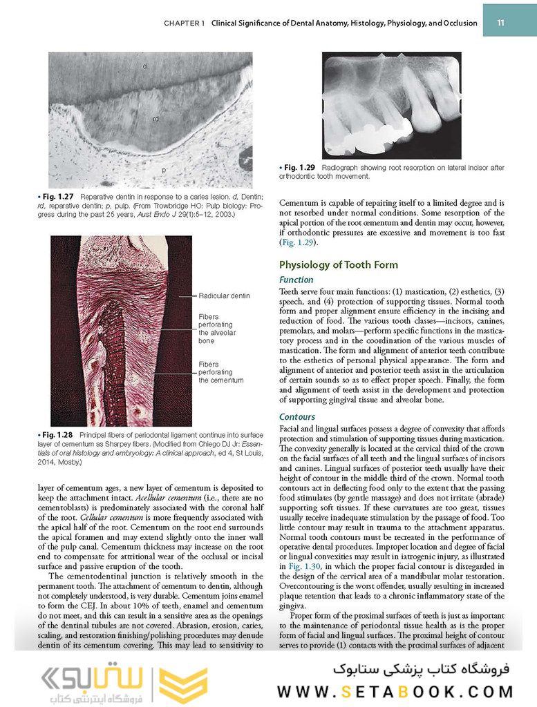 Sturdevant’s Art and Science of Operative Dentistry, 7th Edition2018