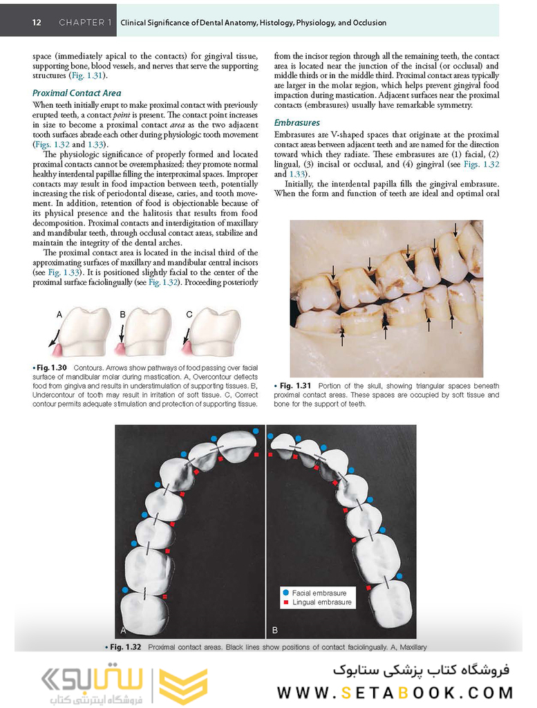 Sturdevant’s Art and Science of Operative Dentistry, 7th Edition2018