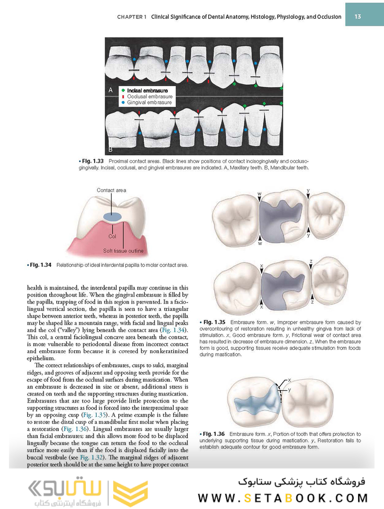 Sturdevant’s Art and Science of Operative Dentistry, 7th Edition2018
