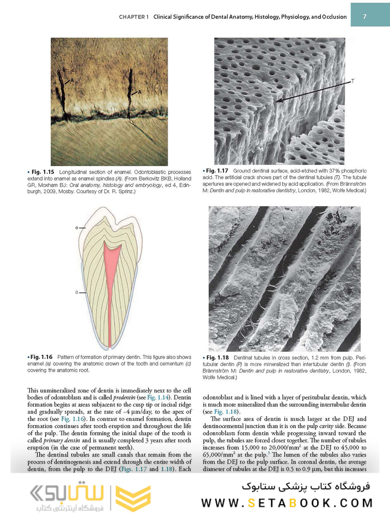 Sturdevant’s Art and Science of Operative Dentistry, 7th Edition2018