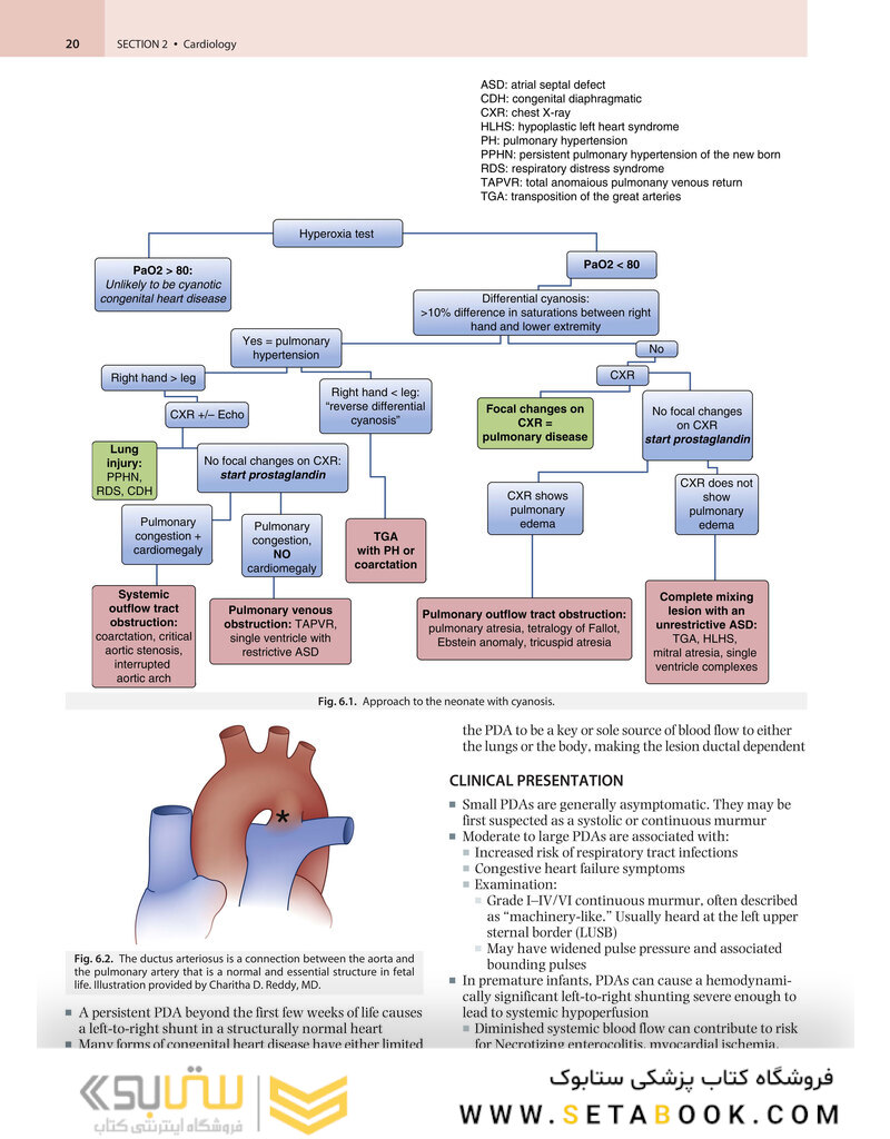 Nelson Pediatrics Board Review: Certification and Recertification 1st Edition2019