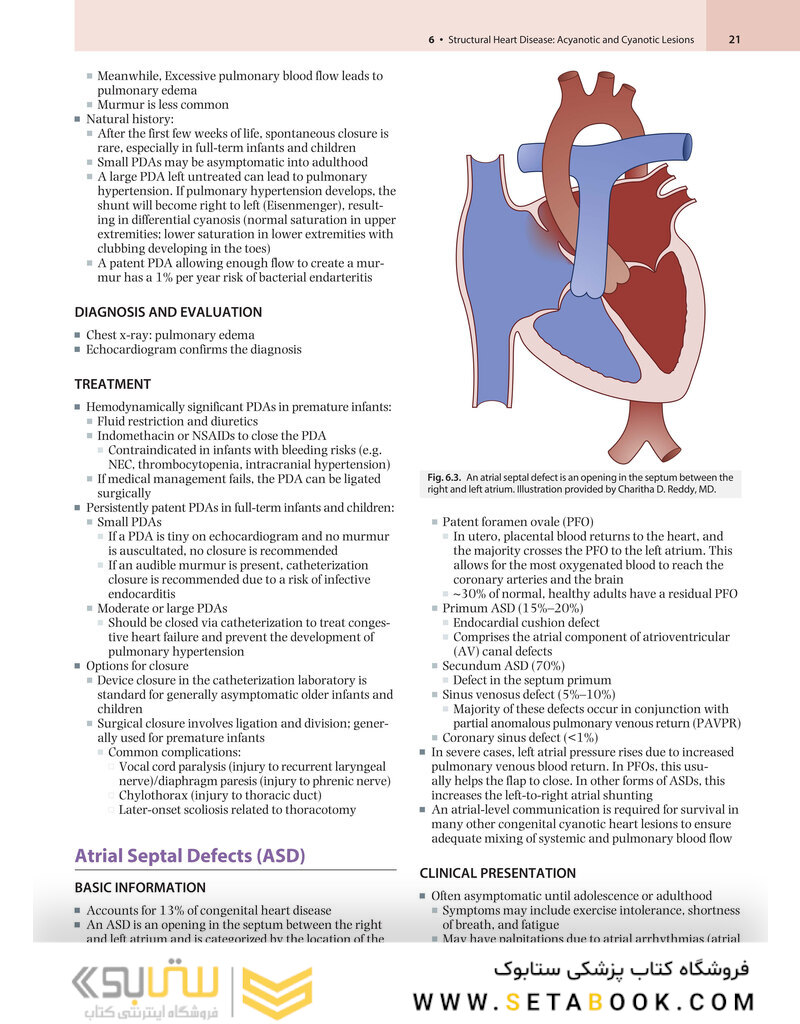 Nelson Pediatrics Board Review: Certification and Recertification 1st Edition2019
