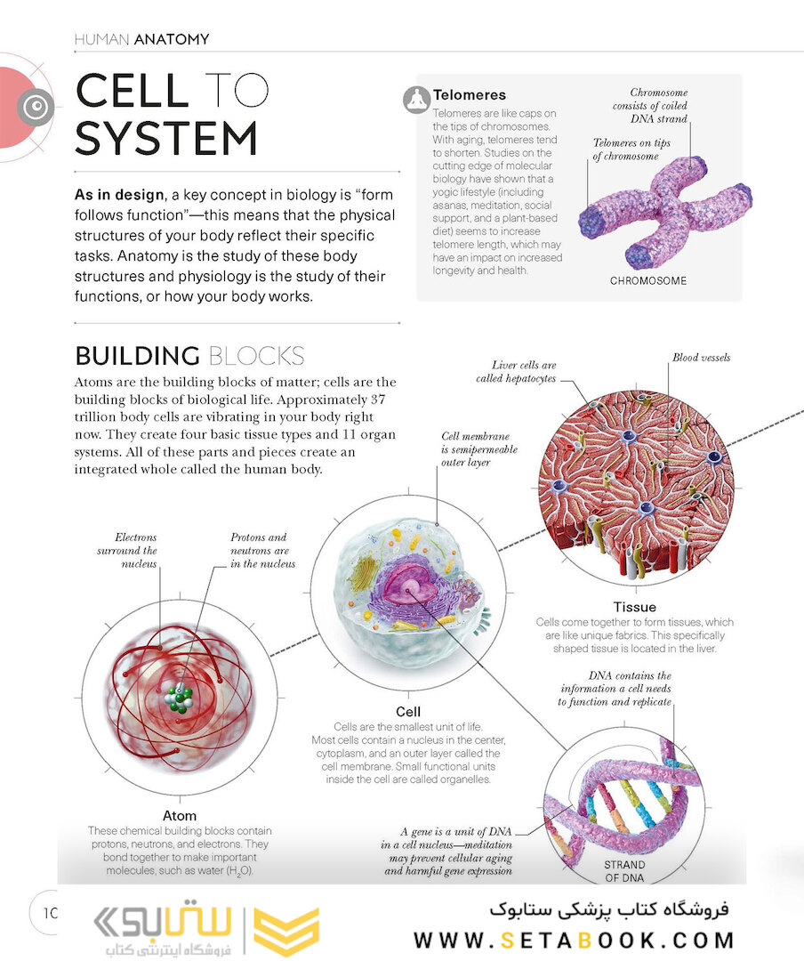 Science of Yoga: Understand the Anatomy and Physiology to Perfect Your Practice2019 علم یوگا: آناتومی و فیزیولوژی را درک کنید