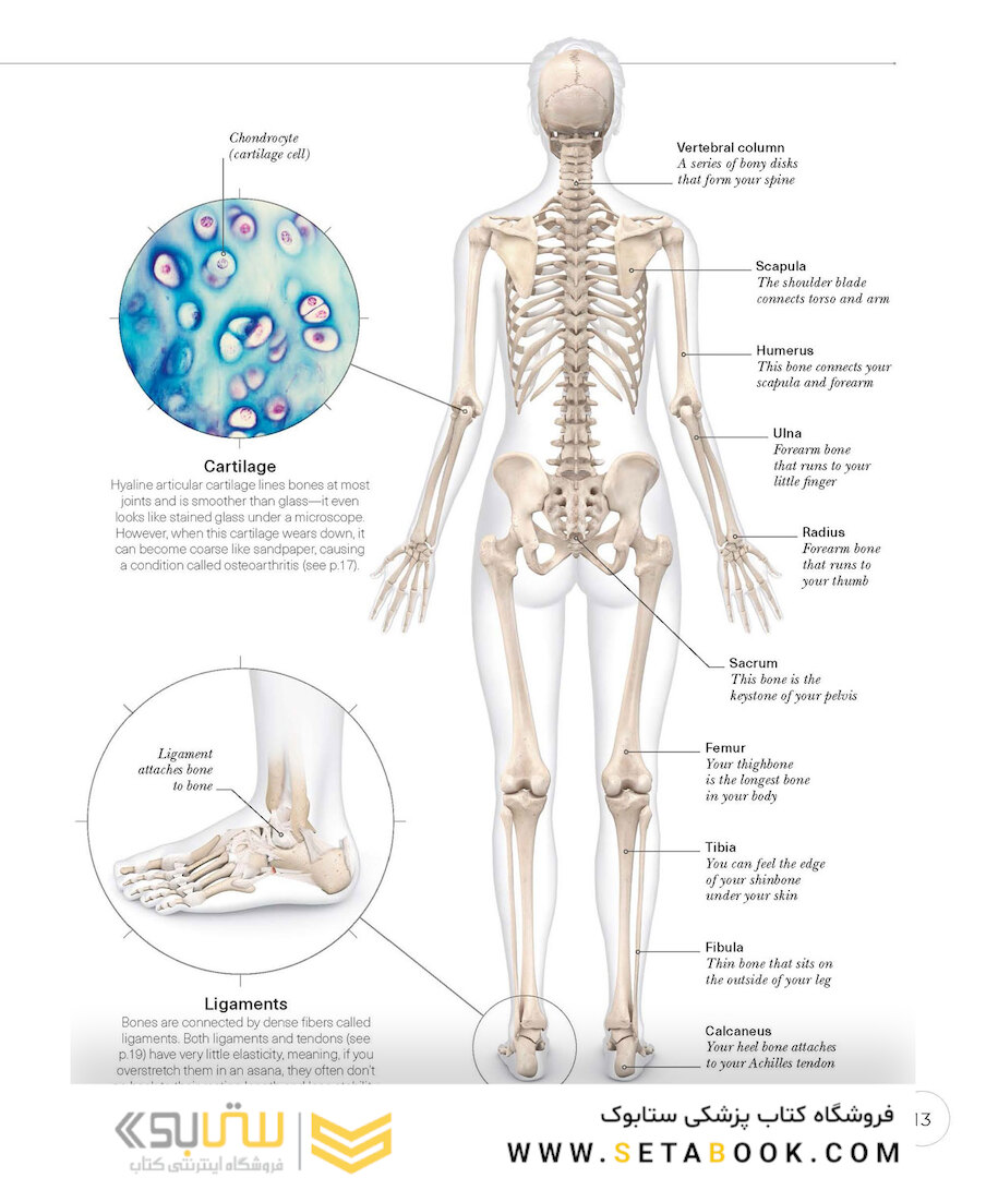 Science of Yoga: Understand the Anatomy and Physiology to Perfect Your Practice2019 علم یوگا: آناتومی و فیزیولوژی را درک کنید